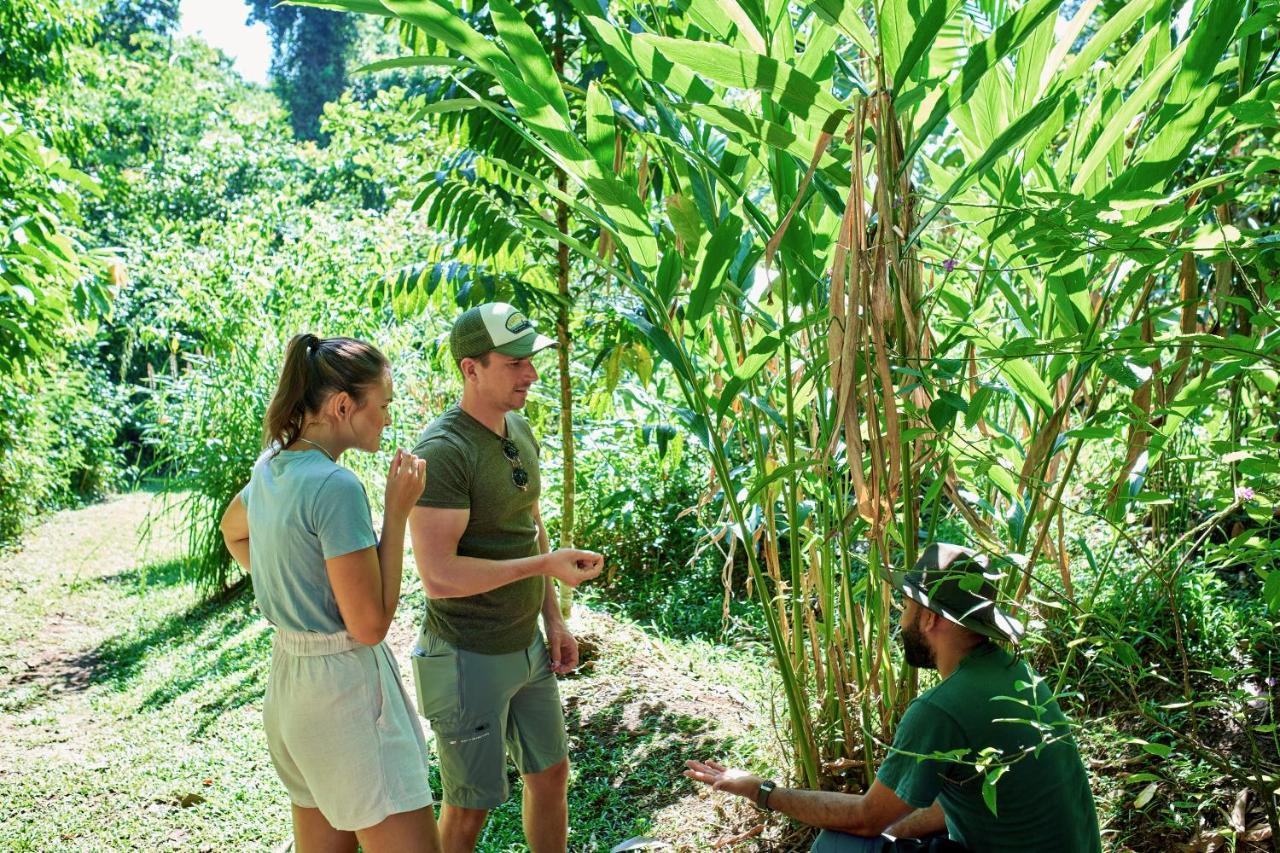 Finca Luna Nueva Lodge La Fortuna Exteriér fotografie