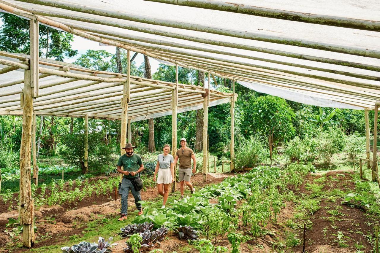 Finca Luna Nueva Lodge La Fortuna Exteriér fotografie