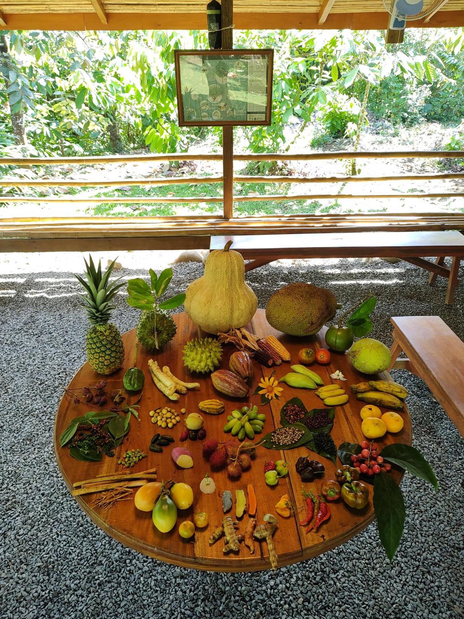 Finca Luna Nueva Lodge La Fortuna Exteriér fotografie
